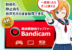 高性能動画キャプチャーソフトbandicam バンディカム 情報ウェブ 高性能動画キャプチャーソフトbandicam バンディカム 情報ウェブ